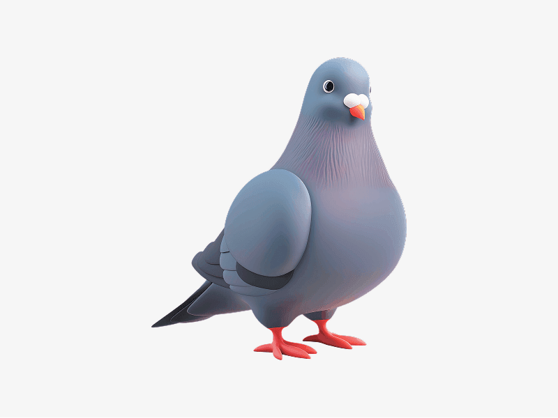 cute pigeon 3d character