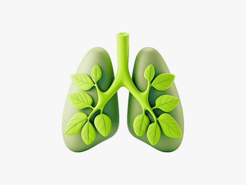Lungs shaped with green leaves shown as a 3D illustration