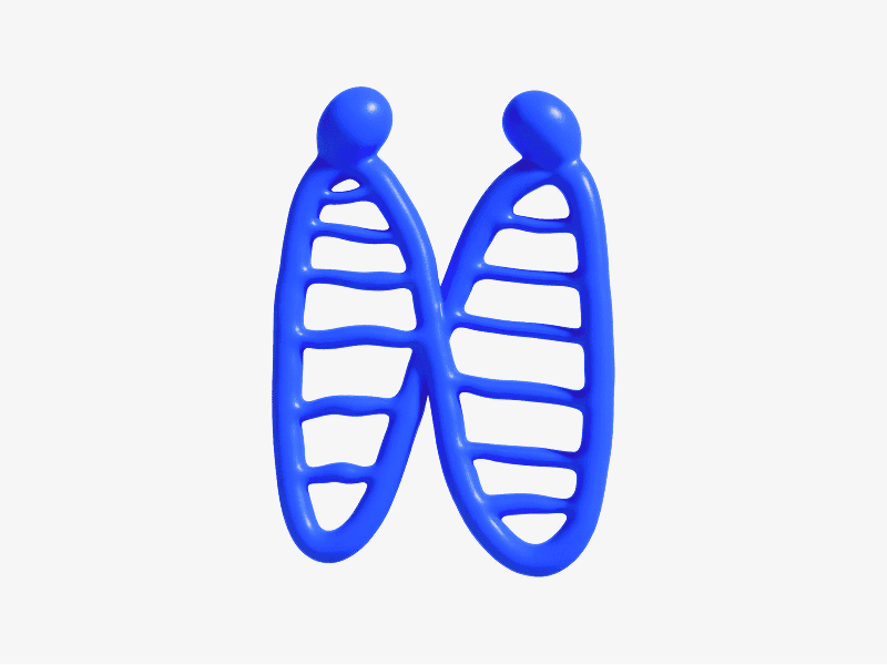 3D organic abstract shape with two connected capsule forms