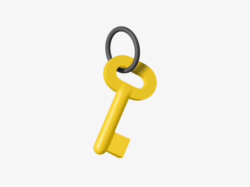 3d illustration of a key