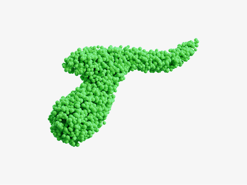 Green organic stroke shaped abstract form shown as a 3D illustration