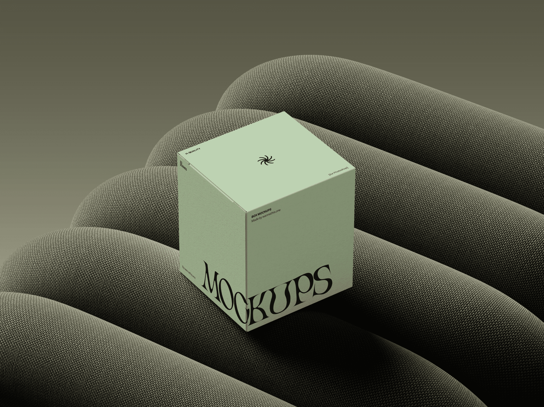 Minimal box mockup on a modern curved surface