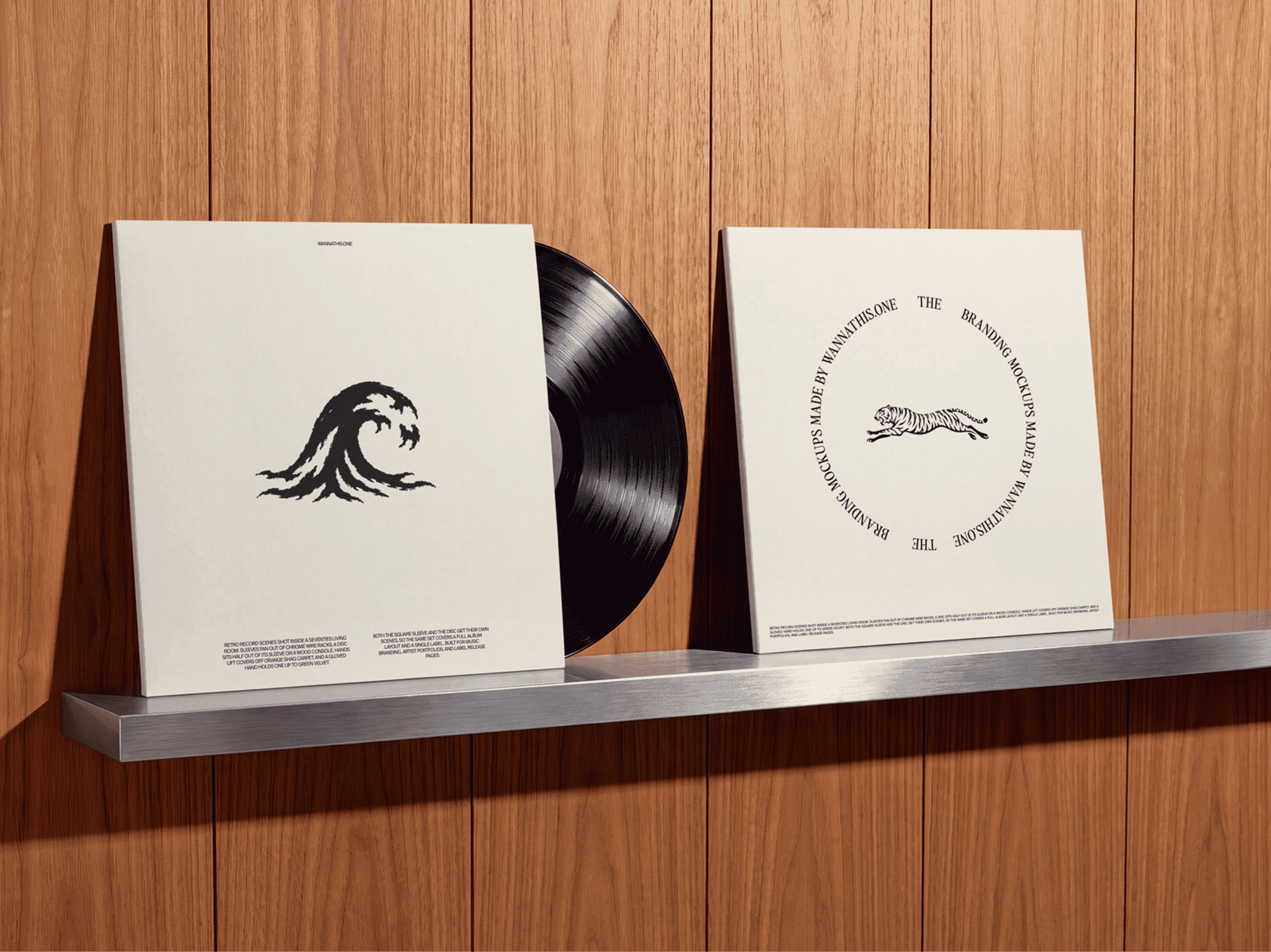 Two vinyl record sleeves standing on a floating wall shelf with a disc showing