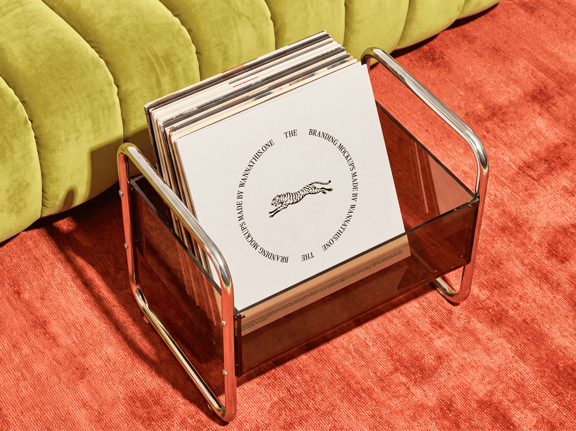 Row of vinyl record sleeves standing in a wire magazine rack in a living room