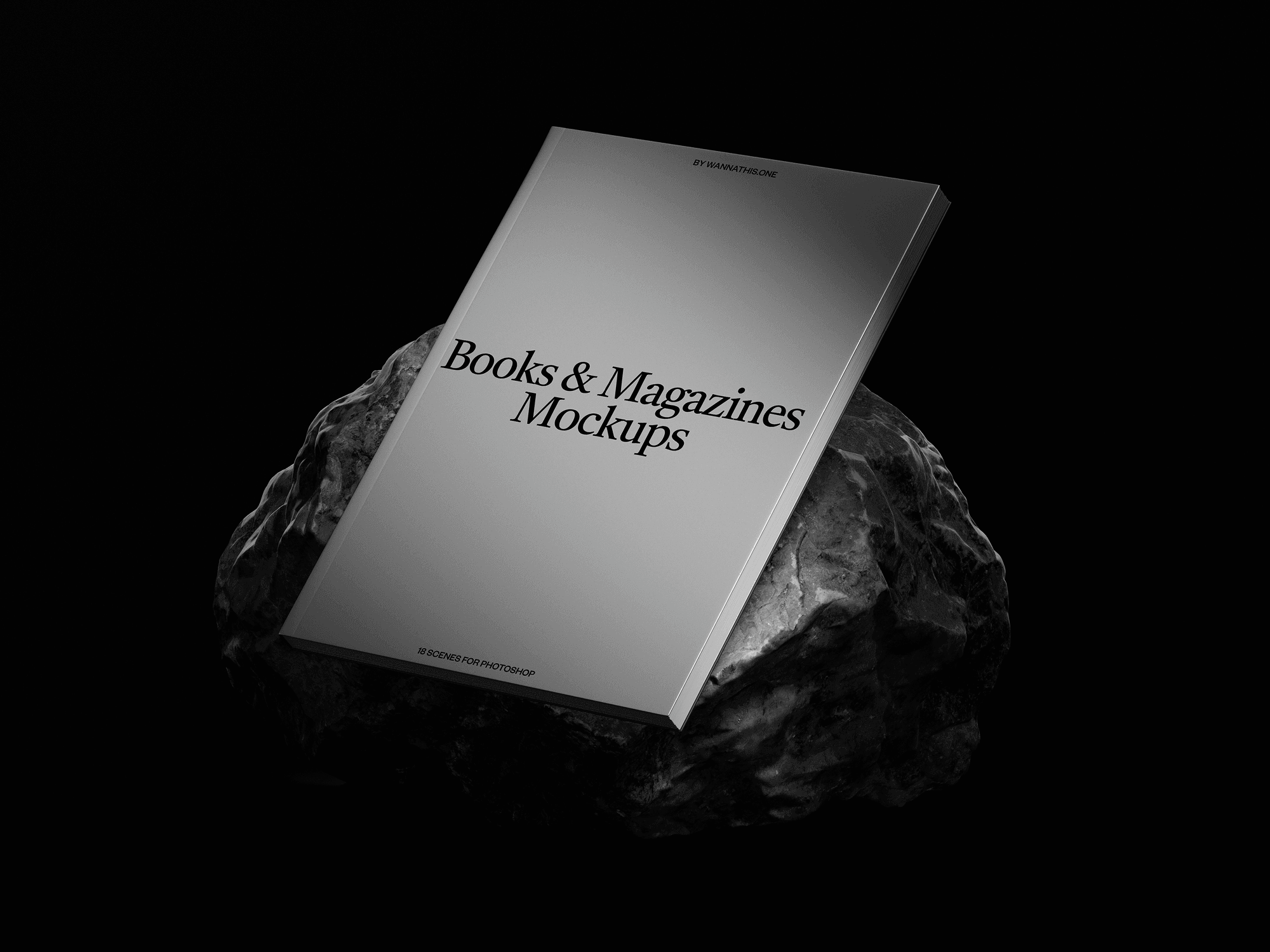 A monochrome book mockup positioned on a textured rock in a dark setting