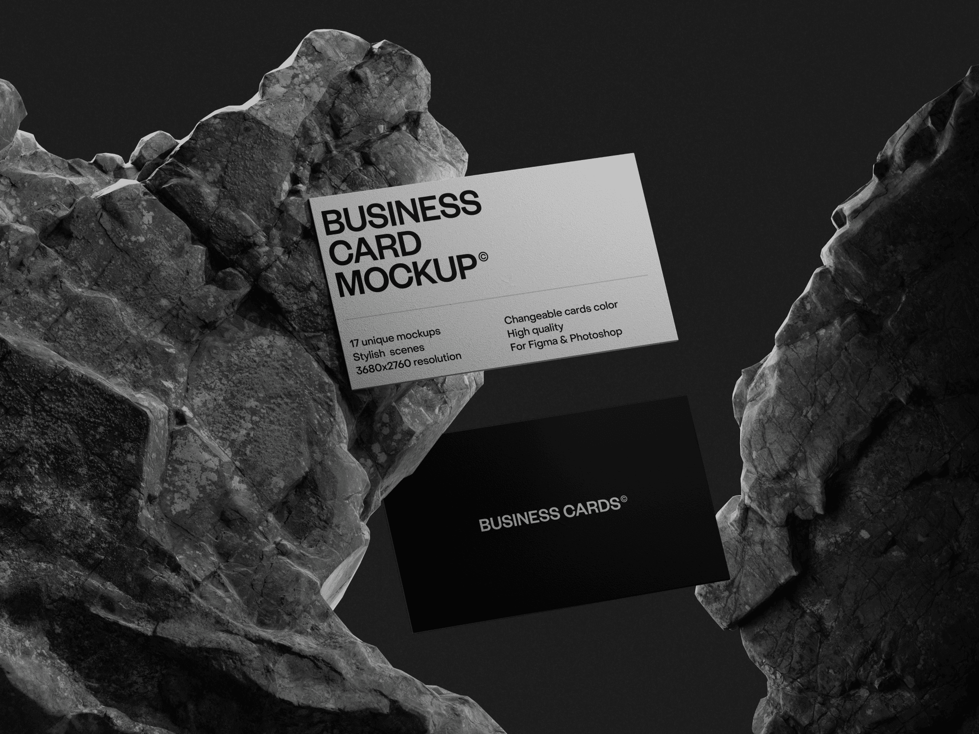 Black and white business cards displayed between two large rocks.