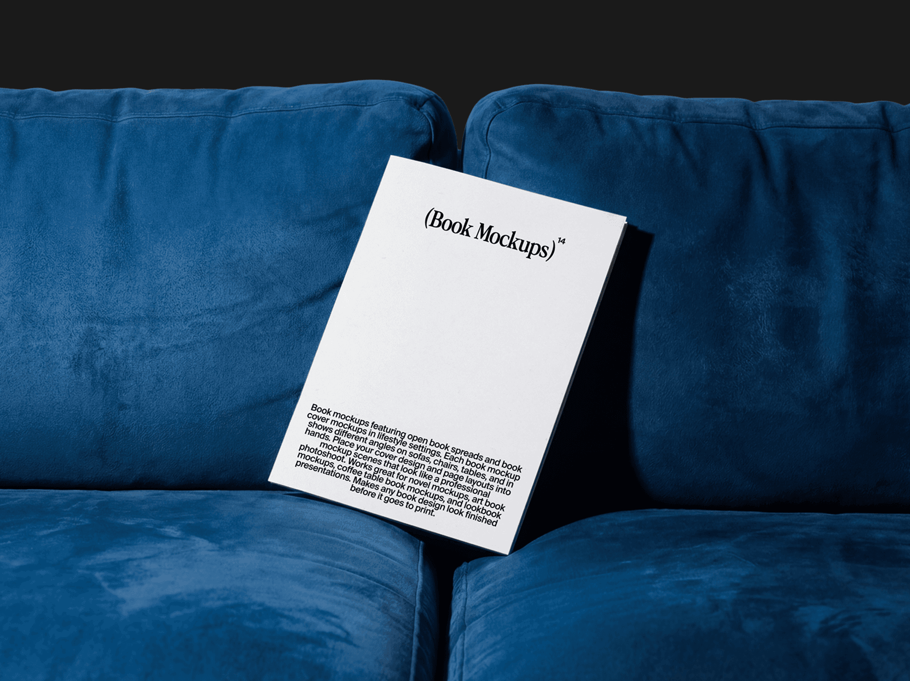 Softcover book resting on a sofa seat in a relaxed setting