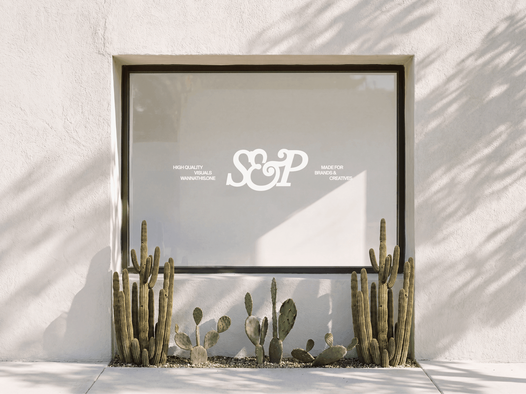 Modern storefront window signage mockup with a lush cactus garden placed in front in a refined outdoor scene